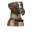 Everything Boxer Dogs Icon