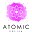 Atomic Polish Icon