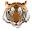 Animalshirt Icon