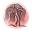 Leaning Willow Icon