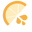 Citrus Husk Boutique Icon
