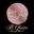 B Glam Collection Icon