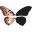 Monarch Reign Icon