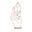 ECH Designs Icon