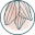 Luxury Spa Robes Icon