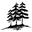 Carolina Pine Country Store Icon