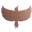 Specht Design Icon
