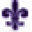 Loucity Team Store Icon