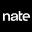 Nate Icon