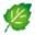 Greenorganics.com.au Icon