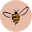 Honeycomb Wax Co. Icon