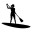 Paddle Mania Icon