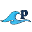 Paddle Store CA Icon