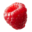 TruFru Icon