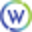 World Insurance Icon