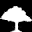 The White Dogwood Icon