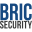 Bric Security Icon