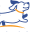 Wags and Wiggles Icon
