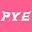 PYE Icon