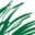 Lucerne Farms Icon