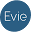 Evie.ai Icon