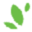 Herbalnutrition Icon