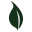 Eco-Train Icon