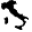 Radici USA Icon