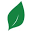 Pacific Teak Millworks Icon