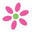 Kelly Hughes Designs Icon