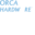 Orca Hardware Icon