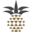 Carolina Shutter & Blinds Icon