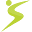 Solofit Icon