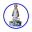 Botanica Ochun Icon