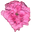 Flower & Bee Synergy Icon