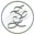 SoulieLove Collections Icon
