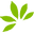 Plant Snacks Icon
