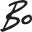 Bo Bridges Gallery Icon