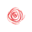 The Flower Apothecary Icon