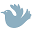 Robin Ann Meyer Icon