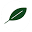 Rewoodd Icon
