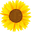 Pretty N Pressed Boutique Icon