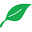 Janey Lynn's Designs Icon