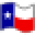 Texas Wireless Internet Icon