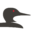 Crosslake Communications Icon