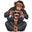 Usa.babybanz.com Icon