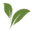 HC Companies Icon