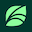 Spring Health Icon