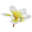 Kahuna Massage Chair Icon
