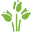 Flora Bunda Icon